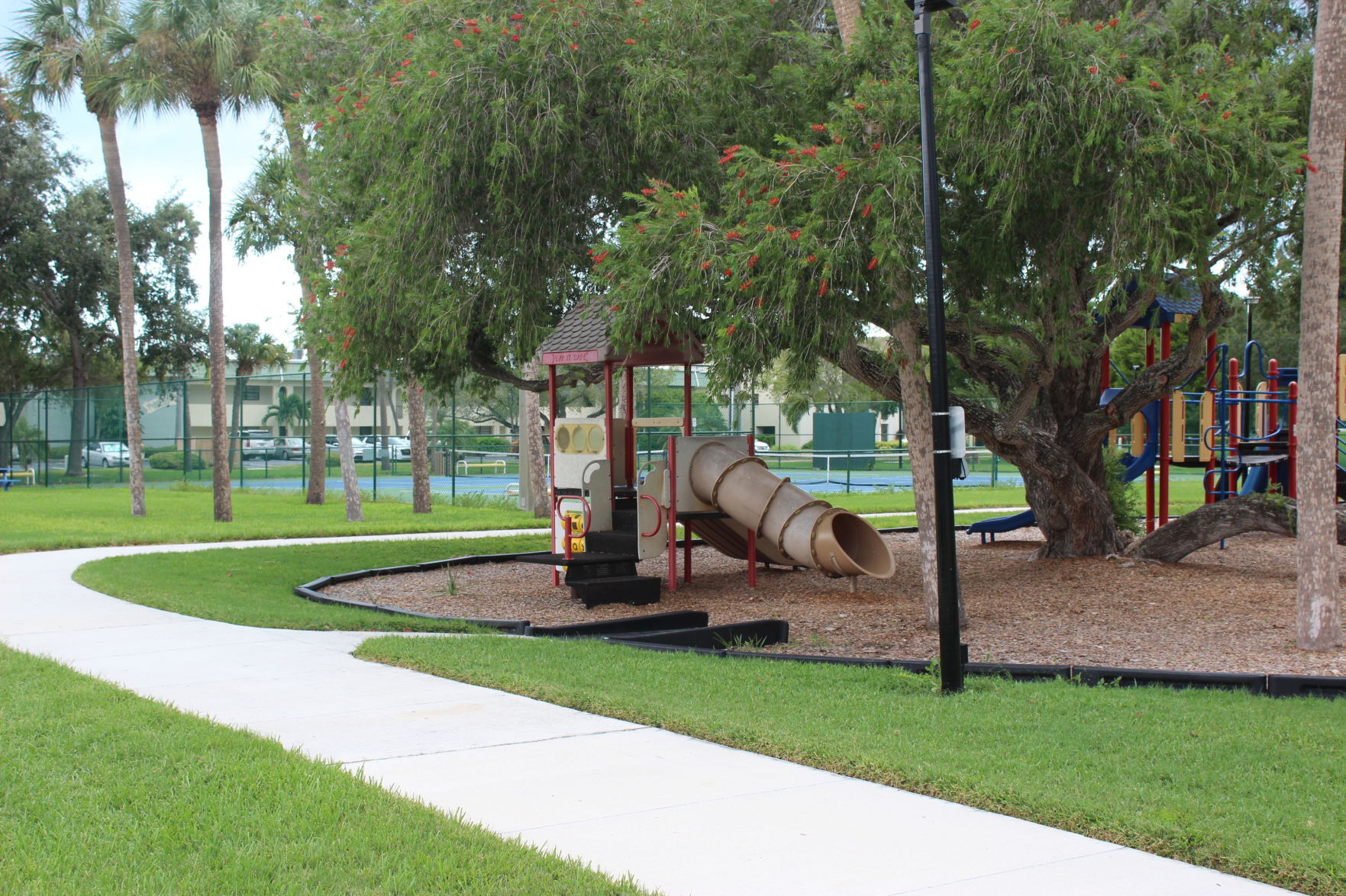 Rosselli Park bottle brush tree saved from the chopping block, for now